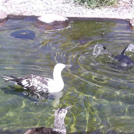 Hotel-restaurant Marcus 2*