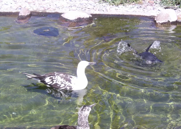 Hotel-restaurant Marcus 2*